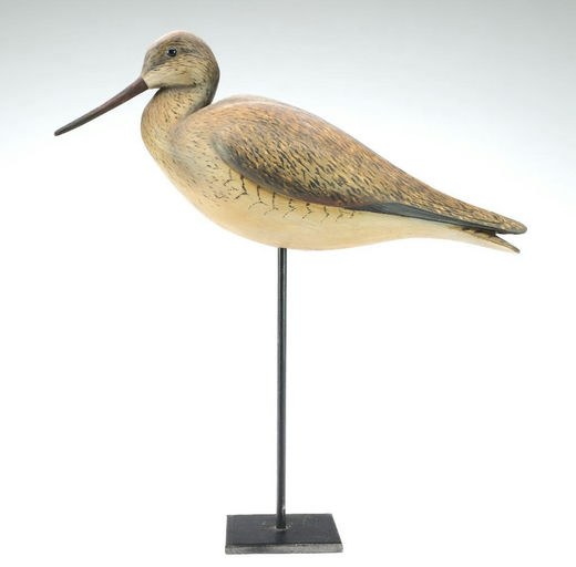 Bill Gibian – Godwit – 2024