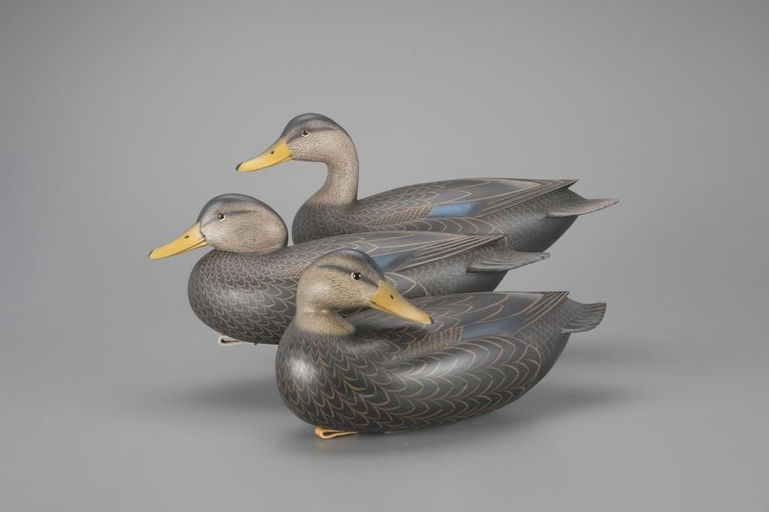 Rick Brown – Black Duck Trio – 2024