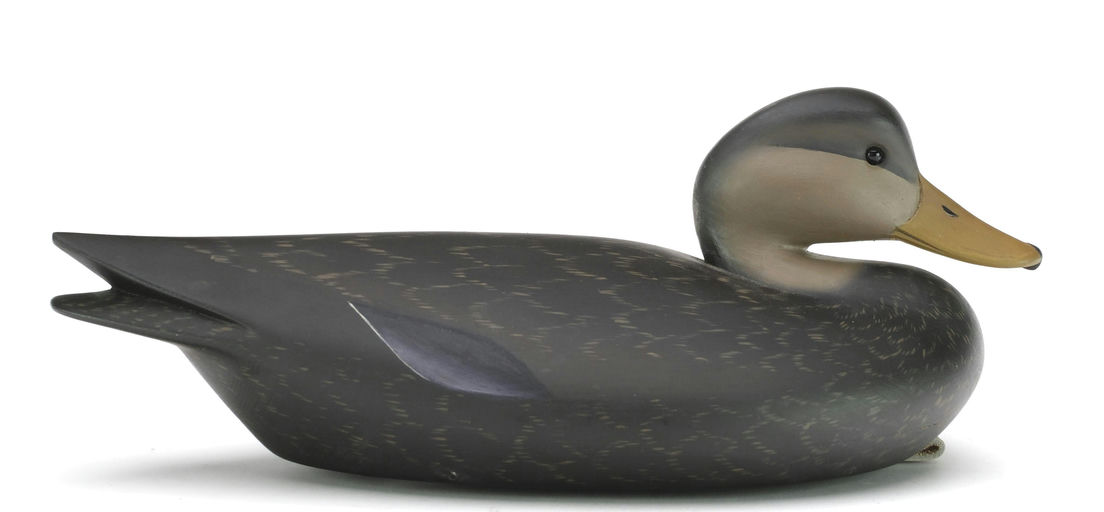 Pete Peterson – Black Duck – 2024