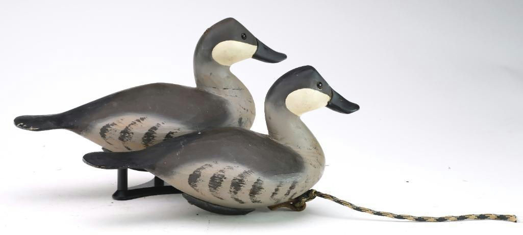 Pete Peterson – Pair of Ruddy Duck – 2024