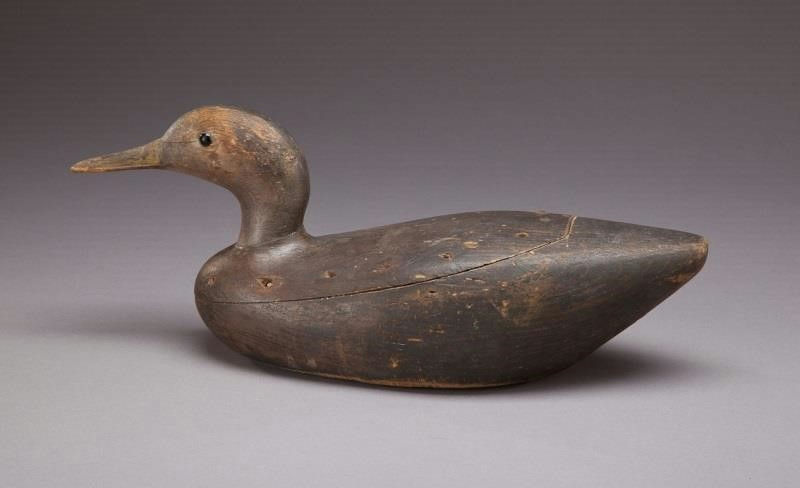 Daniel Lake Leeds – Black Duck – 2013