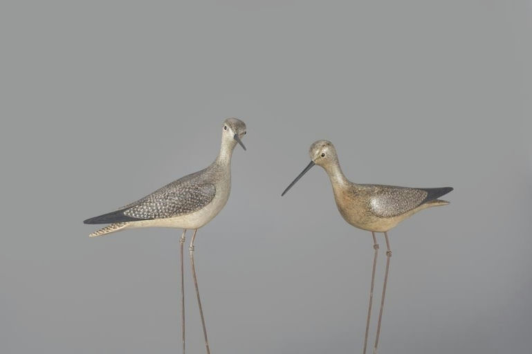 Mark McNair – Yellowlegs Pair with Wire Legs – 2024