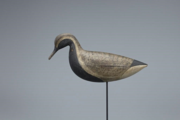 Cameron McIntyre – Black-Bellied Plover – 2019