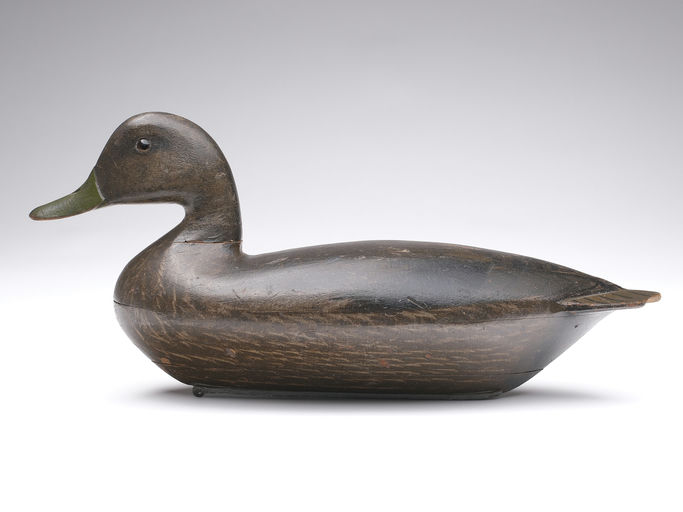 Charles Perdew – Black Duck – 2024