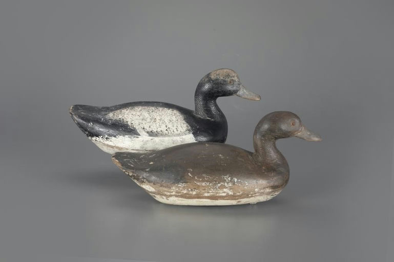 John G. Tornberg – Bluebill Pair – 2024