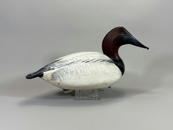 Ward Brothers – Canvasback – 2026
