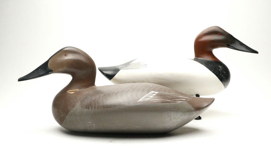 R. Madison Mitchell – Pair of Canvasbacks – 2026