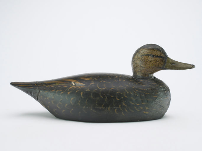 Elmer Crowell – Black Duck – 2024