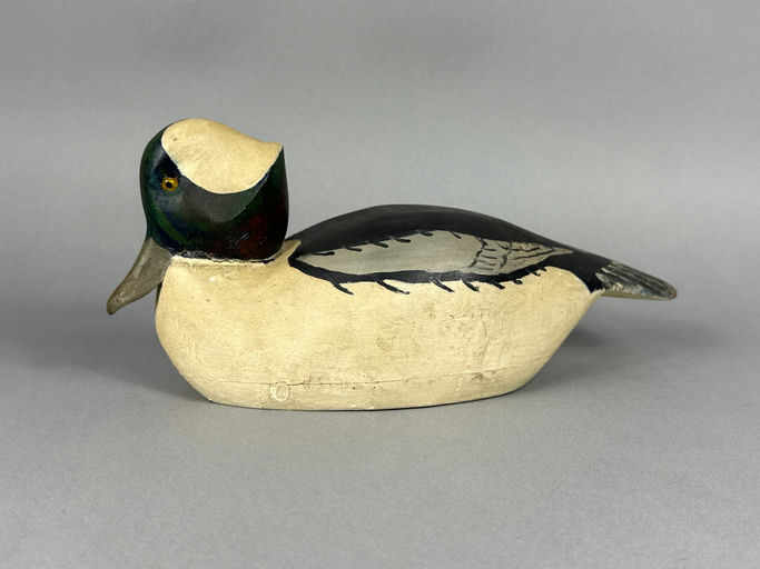 Lloyd Tyler – Bufflehead – 2026