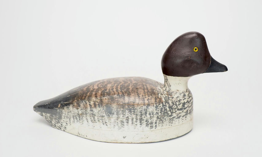 Ed Sweet — Goldeneye Hen