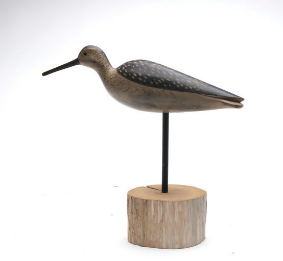 George Strunk – Yellowlegs – 2025