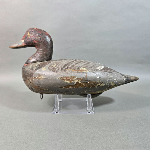 Holly Family – Scaup – 2026