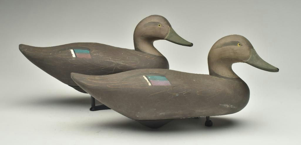 R. Madison Mitchell – Pair of Black Ducks – 2023