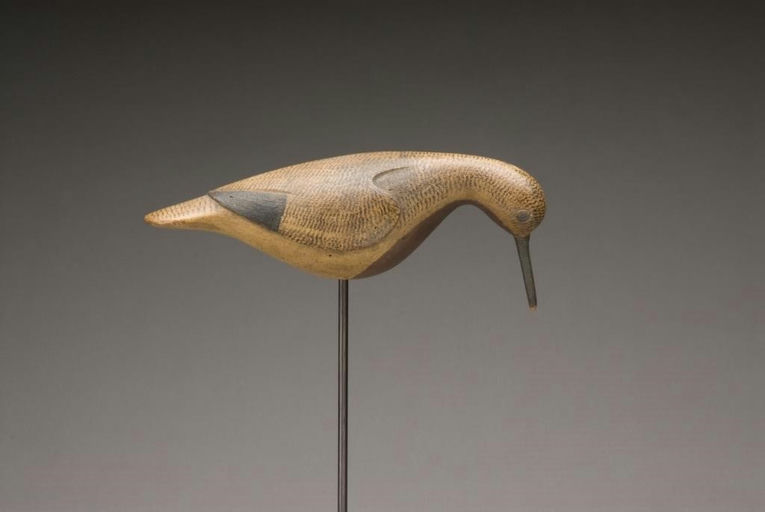 Mark McNair – Feeding Robin Snipe – 2009