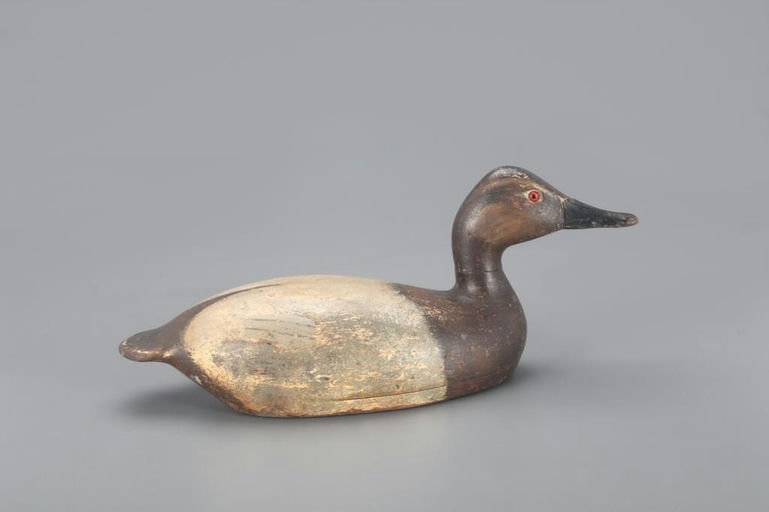 Robert Heath – Canvasback Hen – 2021