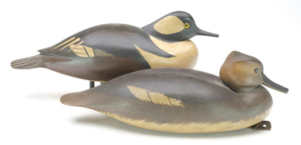Bob White – Drake and Hen Hooded Mergansers – 2023