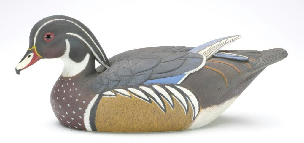 John McLoughlin – Wood Duck – 2023