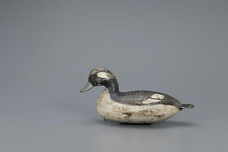 Ira Hudson – The McCleery-Hudson Bufflehead Hen – 2019