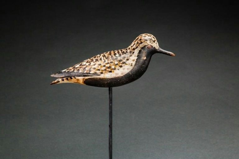 Elmer Crowell – Golden Plover – 2014