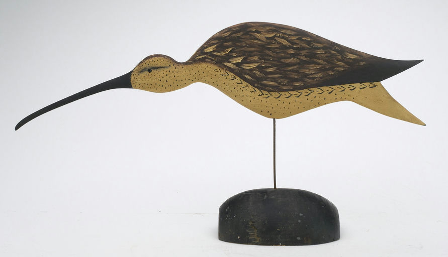Bob White – Curlew – 2024