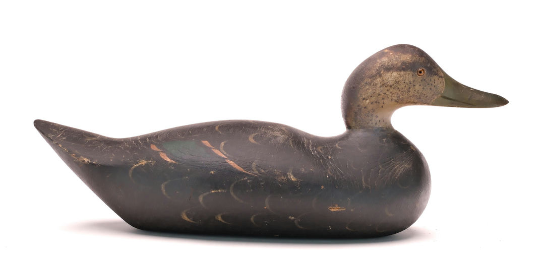 Mason Decoy Factory – Black Duck – 2024