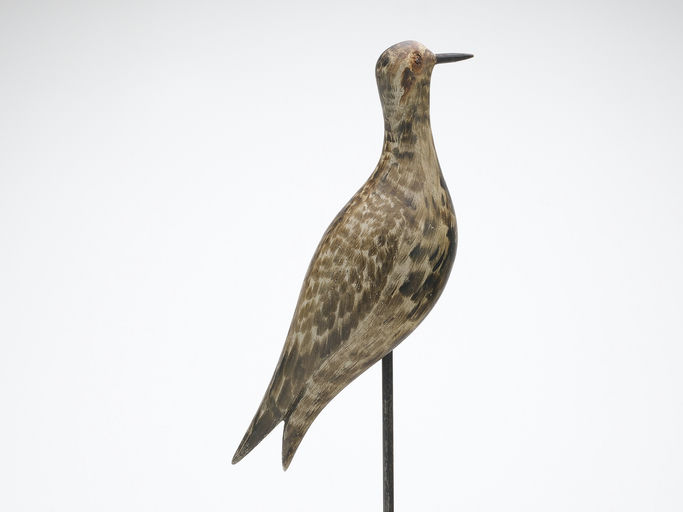 Joseph Lincoln – Plover – 2024