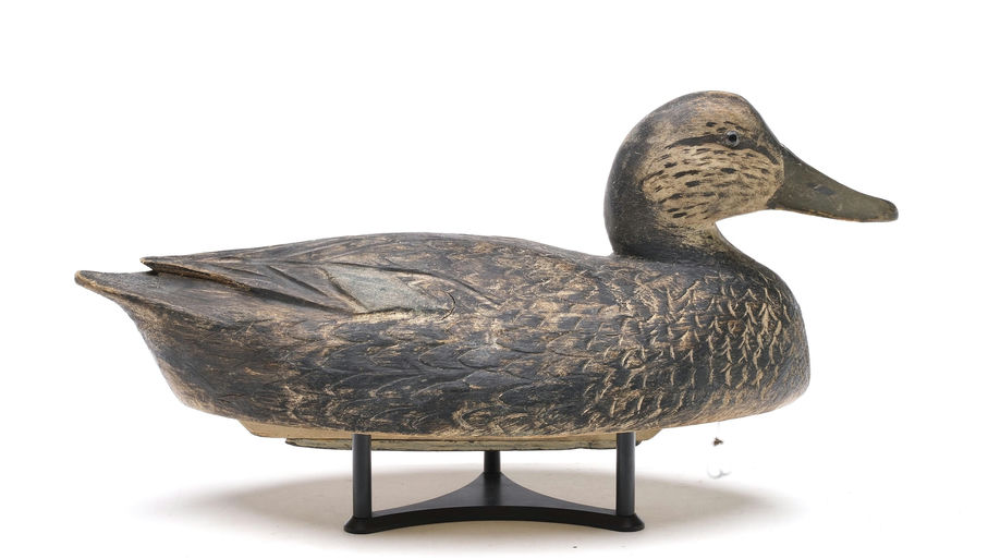 Ben Schmidt – Black Duck – 2026