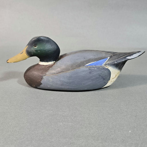 Dan Brown – Mallard – 2026