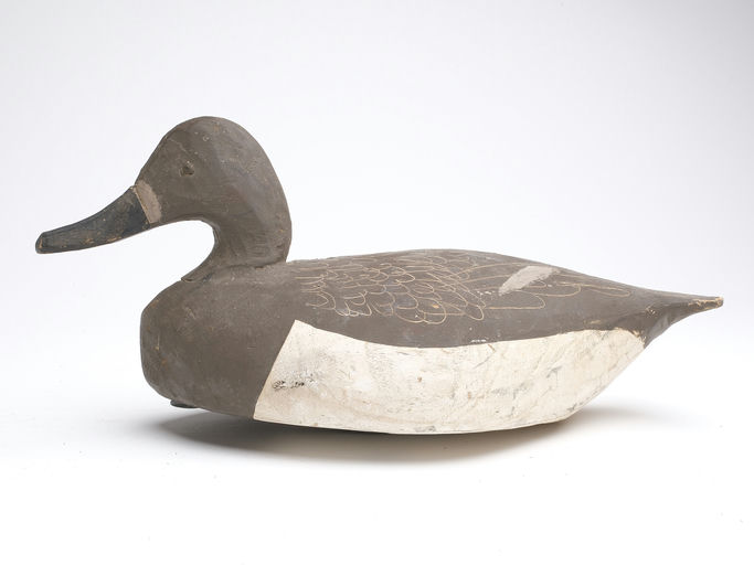 Miles Hancock – Canvasback – 2023