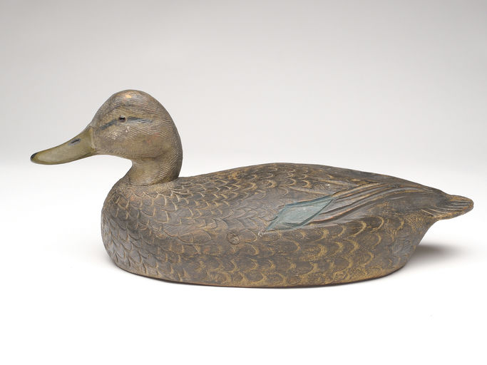 Ben Schmidt – Black Duck – 2023