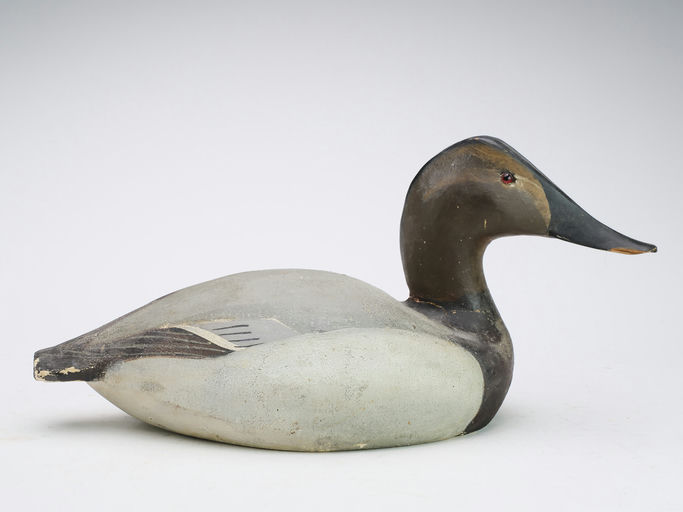 Ward Brothers – Canvasback – 2024