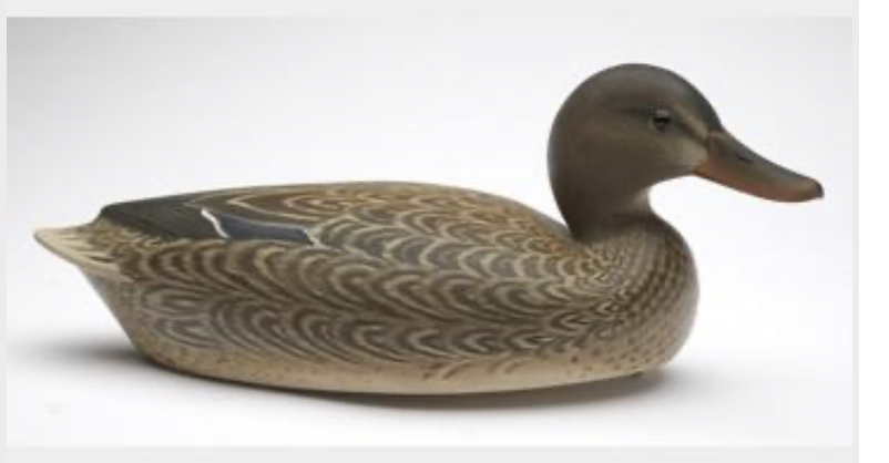 Marty Hanson – Mallard