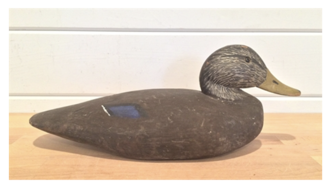 Grayson Chesser – Blackduck From Virginia – 2016