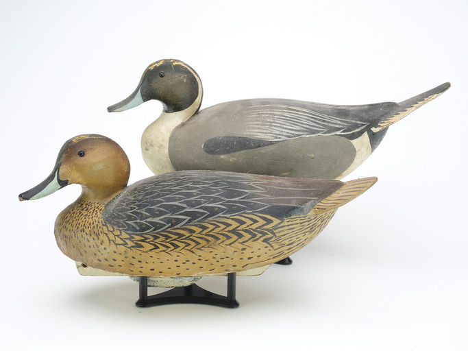 Ward Brothers – Pair of pintails – 2024