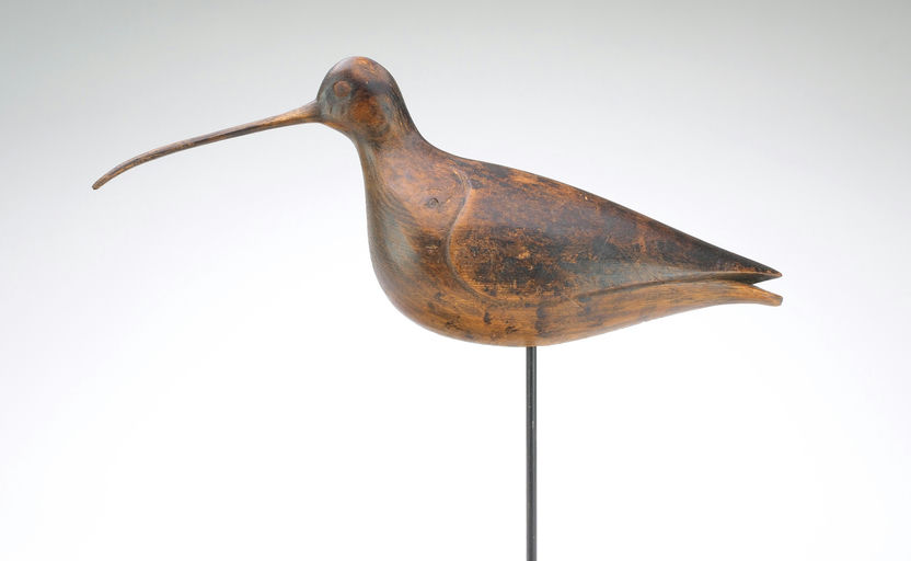 Mark McNair – Curlew – 2024