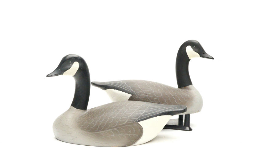 Charlie Joiner – Pair of Canada Geese – 2026