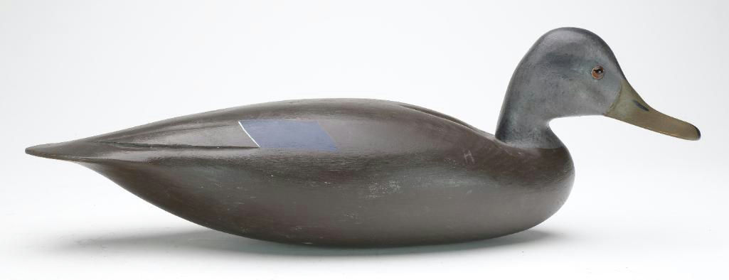 Hurley Conklin – Black Duck – 2023
