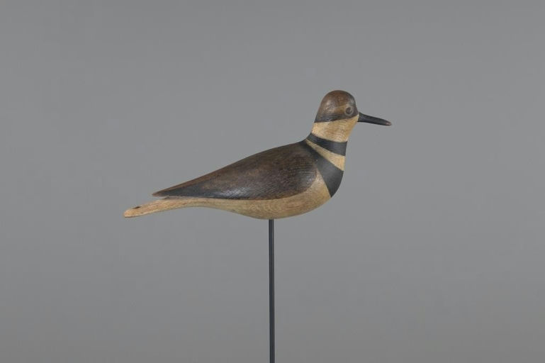 Mark McNair – Killdeer – 2025