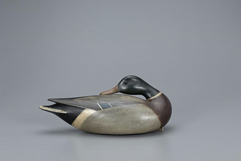 Mark McNair – Preening Mallard Drake – 2019