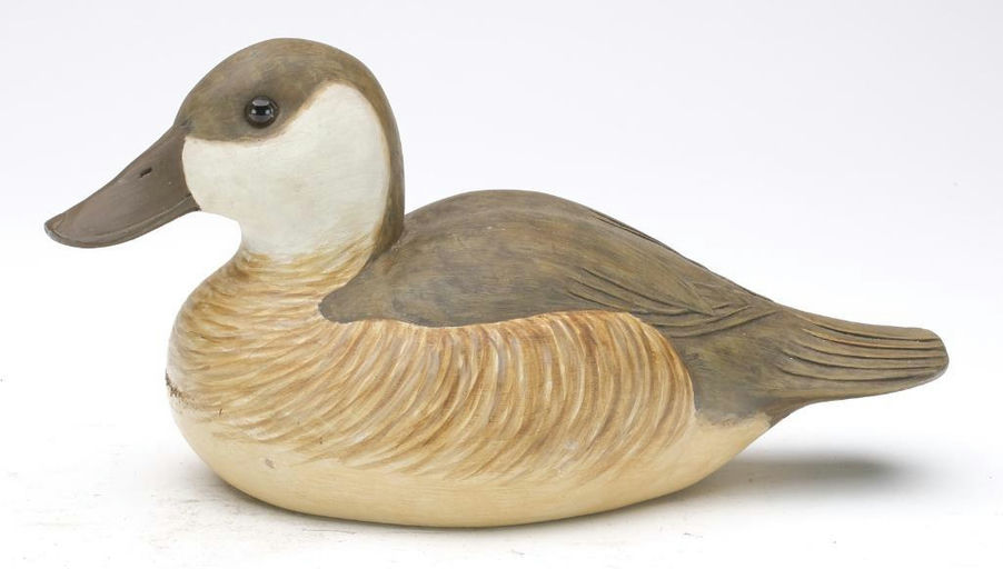 Cigar Daisey – Ruddy Duck – 2023