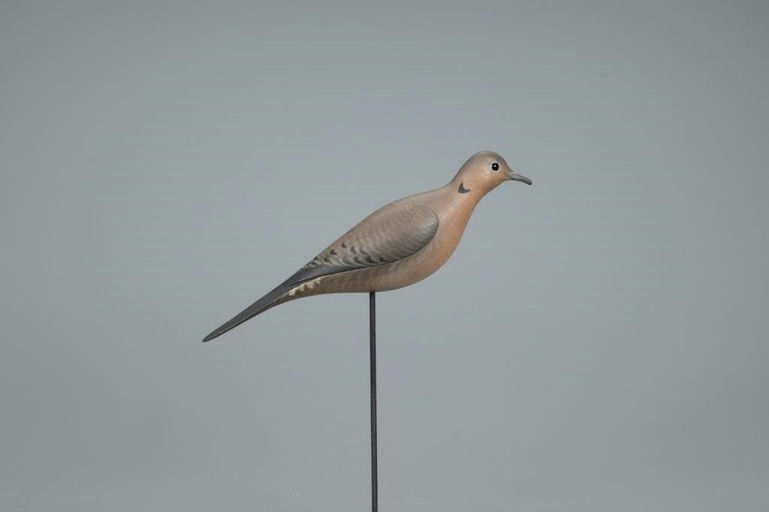 Marty Hanson – Dove – 2020