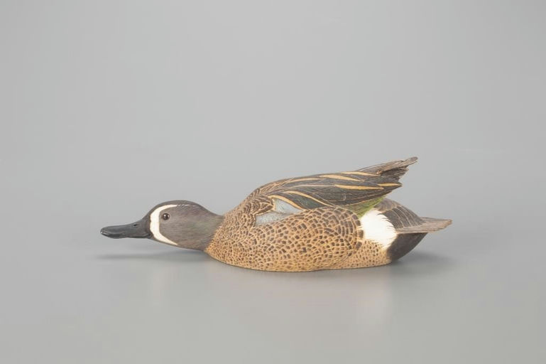 Leo McIntosh – Swimming Blue-Winged Teal – 2022