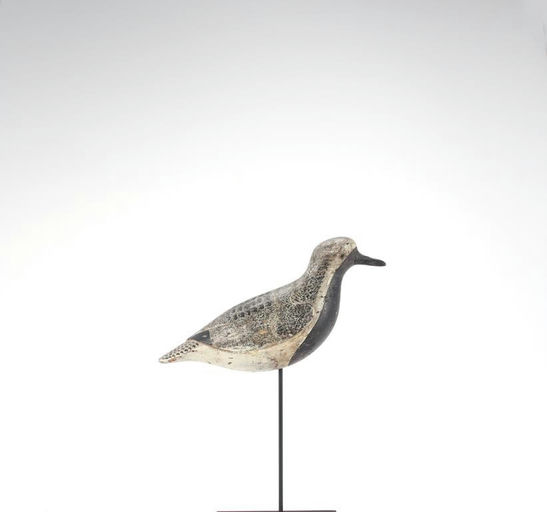 Verity Family – O'Brien Verity Black-Bellied Plover – 2021