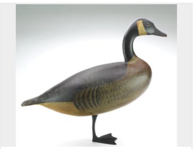 Marty Hanson – Canada Goose