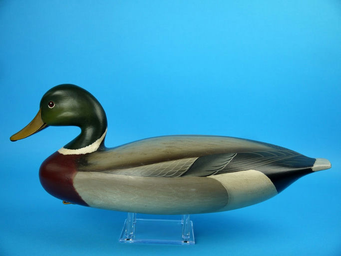 George Strunk – Mallard Drake – 2026