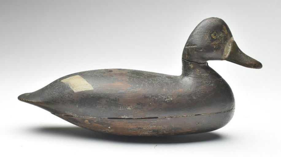 Harry V. Shourds – Scaup – 2023