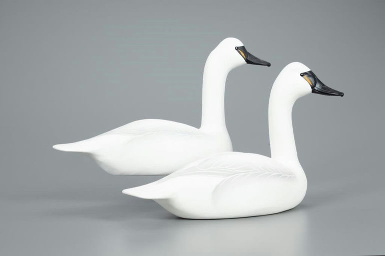 Charlie Joiner – Two One-Third-Size Swans – 2020