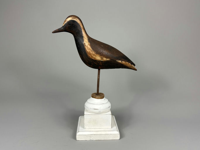 Pete Peterson – Black-bellied plover – 2026