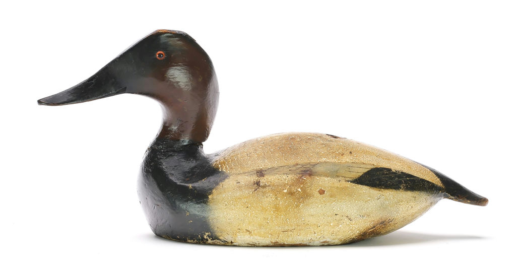 Ward Brothers – Canvasback – 2025
