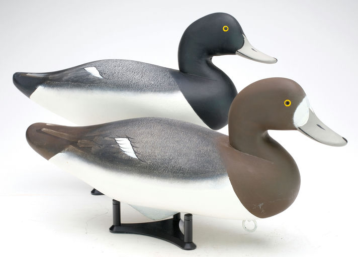 Charlie Joiner – Pair of Bluebills – 2024